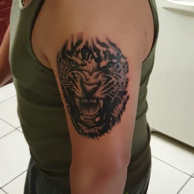 Tiger head realism tattoo by Tattoos By Mauze