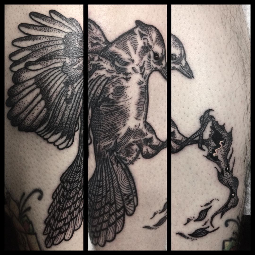 Bird dotwork tattoo on the forearm by Dayana✨