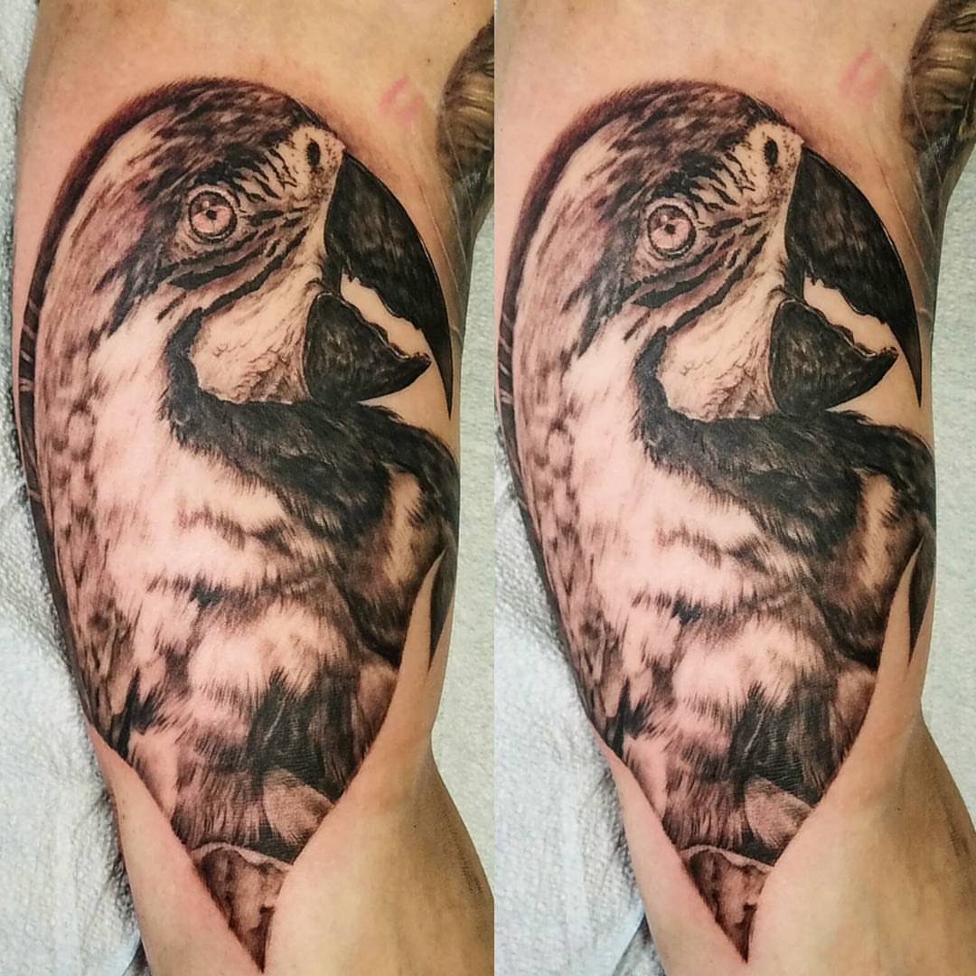 Tattoo by @estattoos — realism