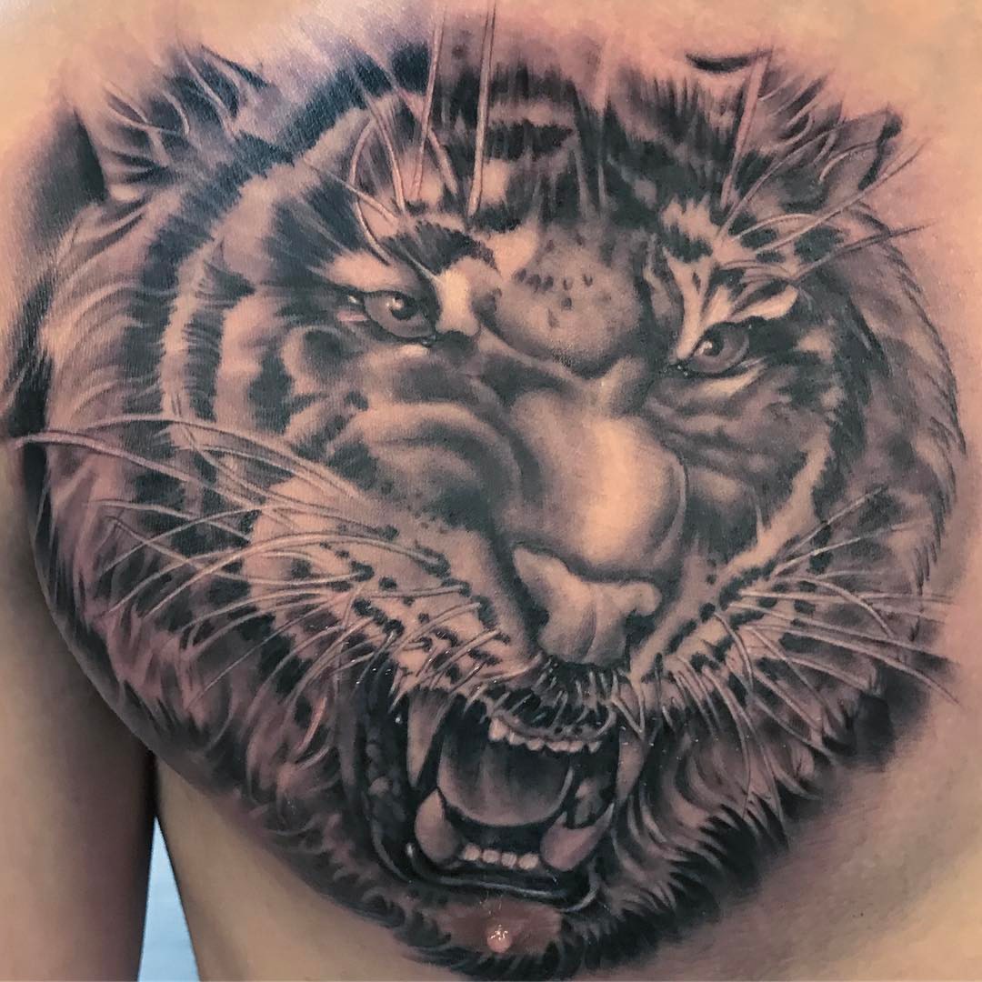 Roaring tiger realism tattoo on the chest by Rocky Nguyen DFW Dallas Japanese