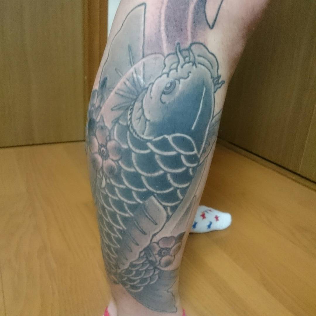 Koi fish japanese irezumi tattoo on the calf by Daichi Horiyama