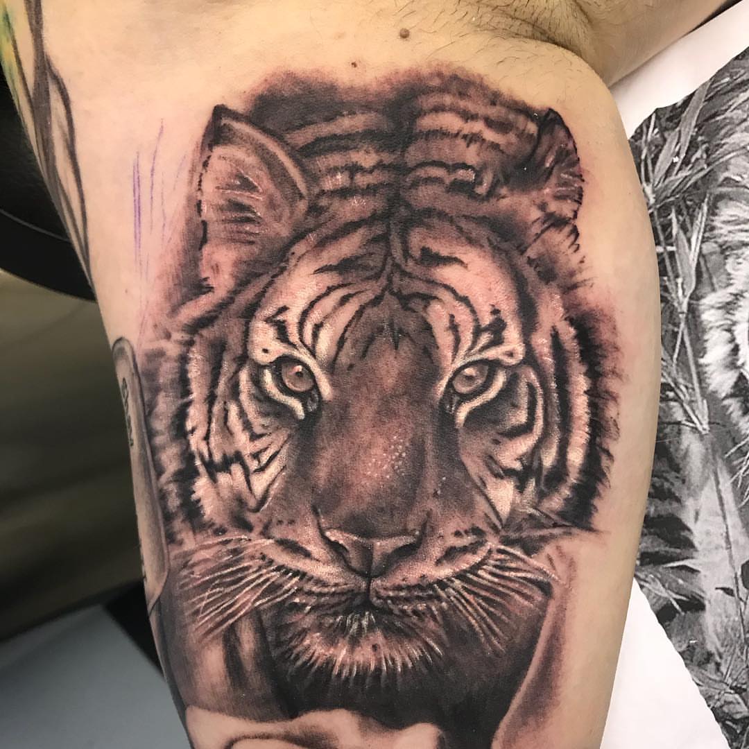 Tattoo by @tattootre — realism