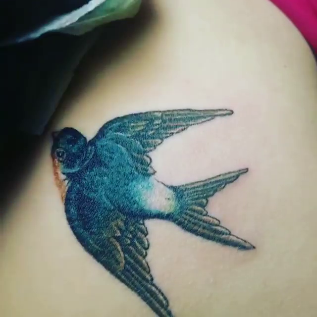 Swallow bird American traditional tattoo by André Brazil