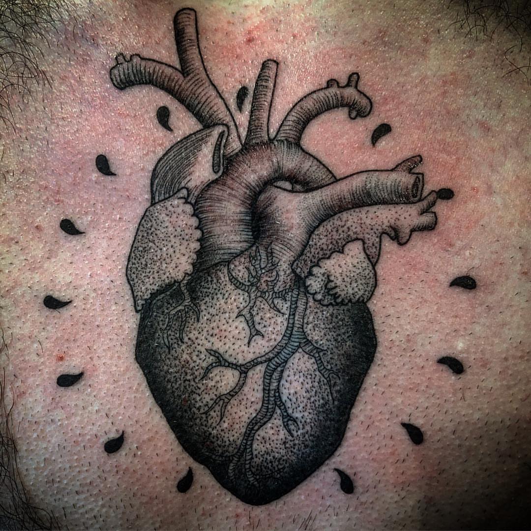 Anatomical heart dotwork tattoo on the chest by Jared Ammons