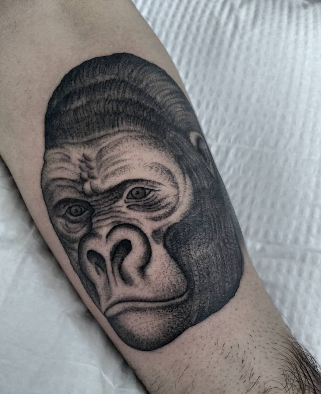 Tattoo by @blackbird_okinawa — realism