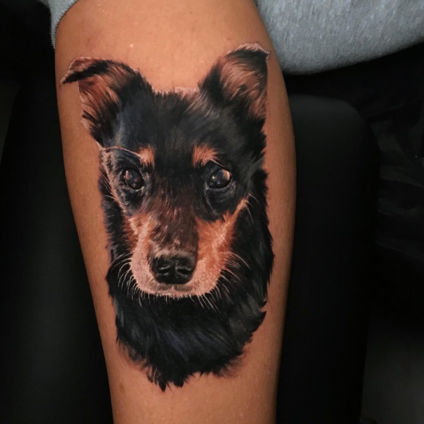 Dog realism tattoo on the forearm by Aren