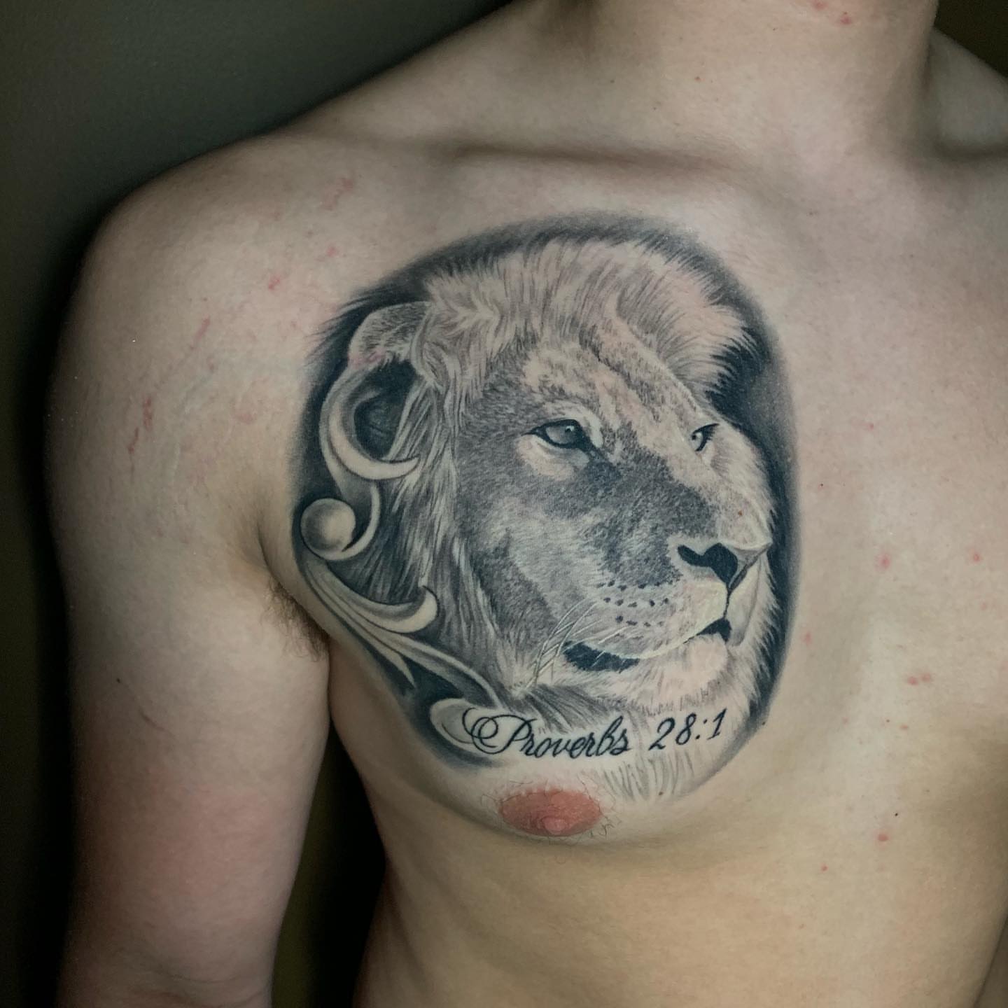 Lion realism tattoo on the chest by Joe Shepp