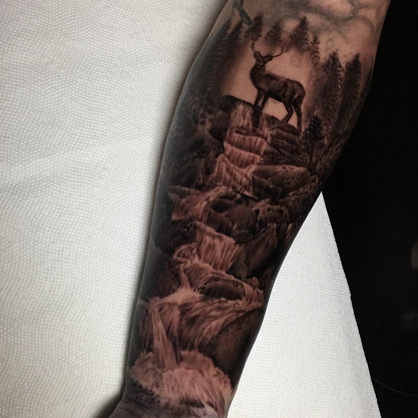Deer in landscape realism tattoo on the forearm by Dalton King Pensacola Tattooer
