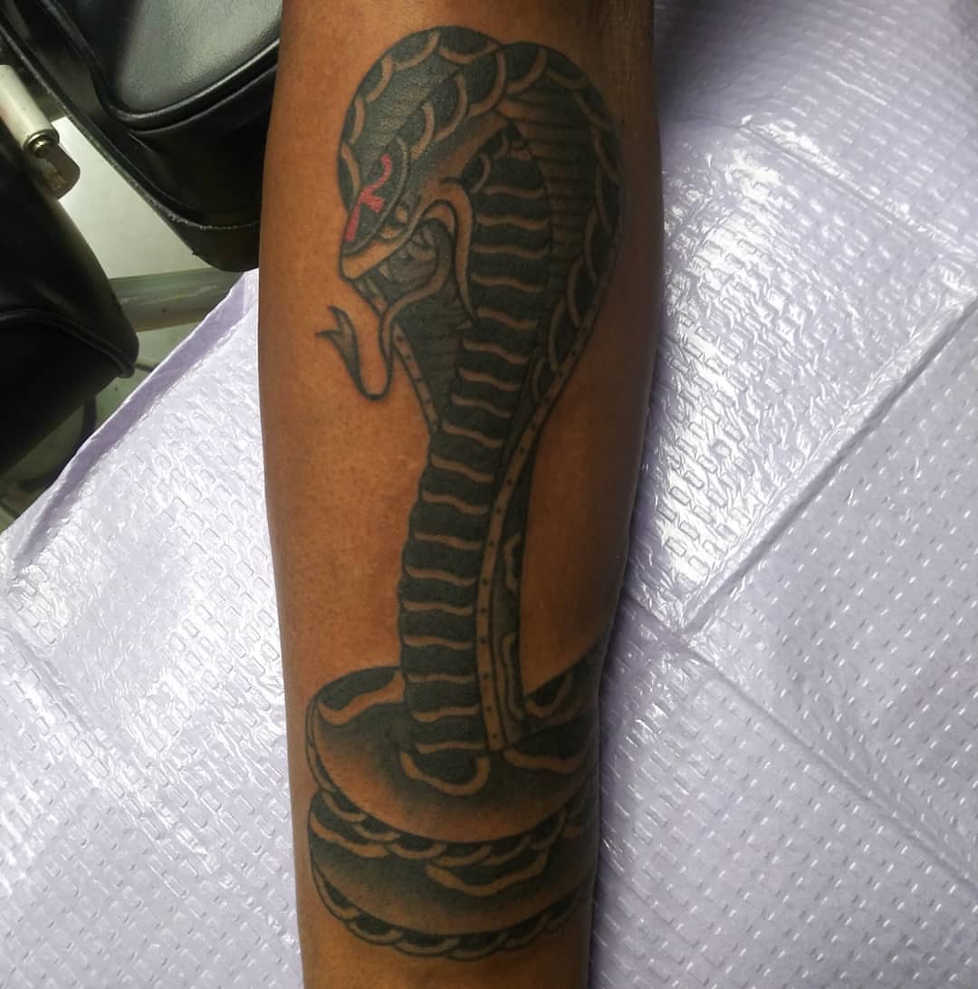 Cobra black and grey tattoo on the forearm by Herc