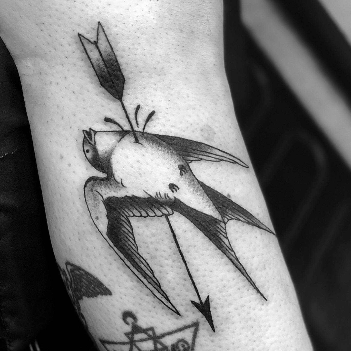 Swallow with arrow black and grey tattoo on the forearm by Sam Fortney, Columbus, Ohio