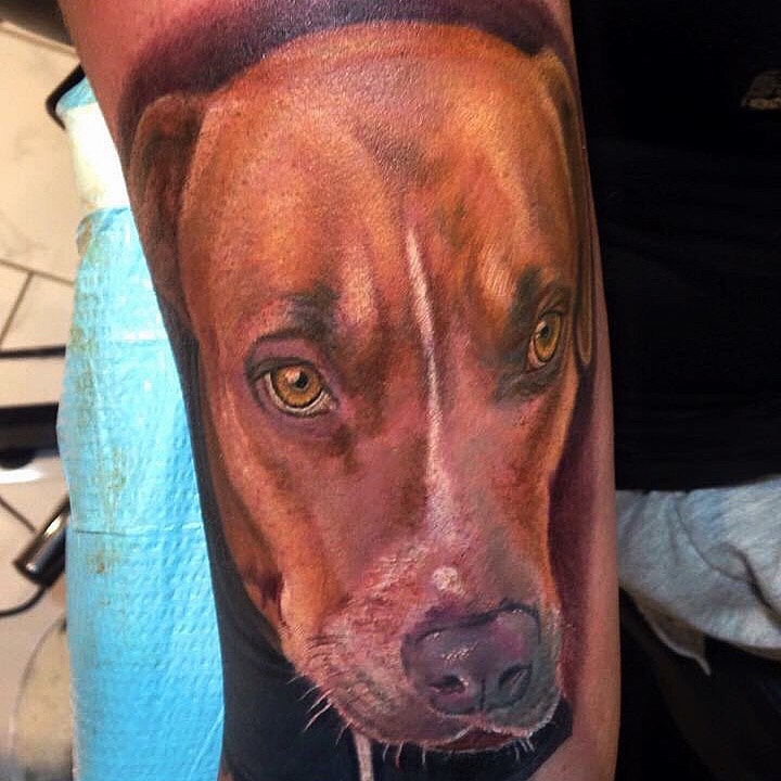 Dog realism tattoo on the forearm by Patrick Delvar