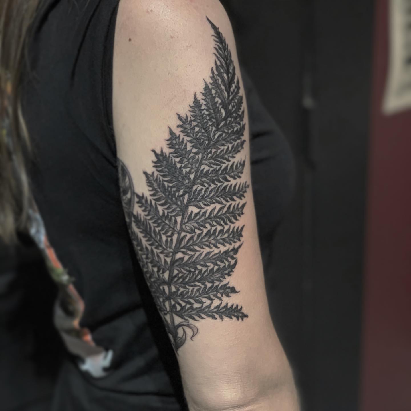 Fern black and grey tattoo on the forearm by 𝓚𝓪𝓼𝓼𝓪𝓷𝓭𝓻𝓪 𝓜𝓬𝓒𝓪𝓵𝓵, Eugene, Oregon
