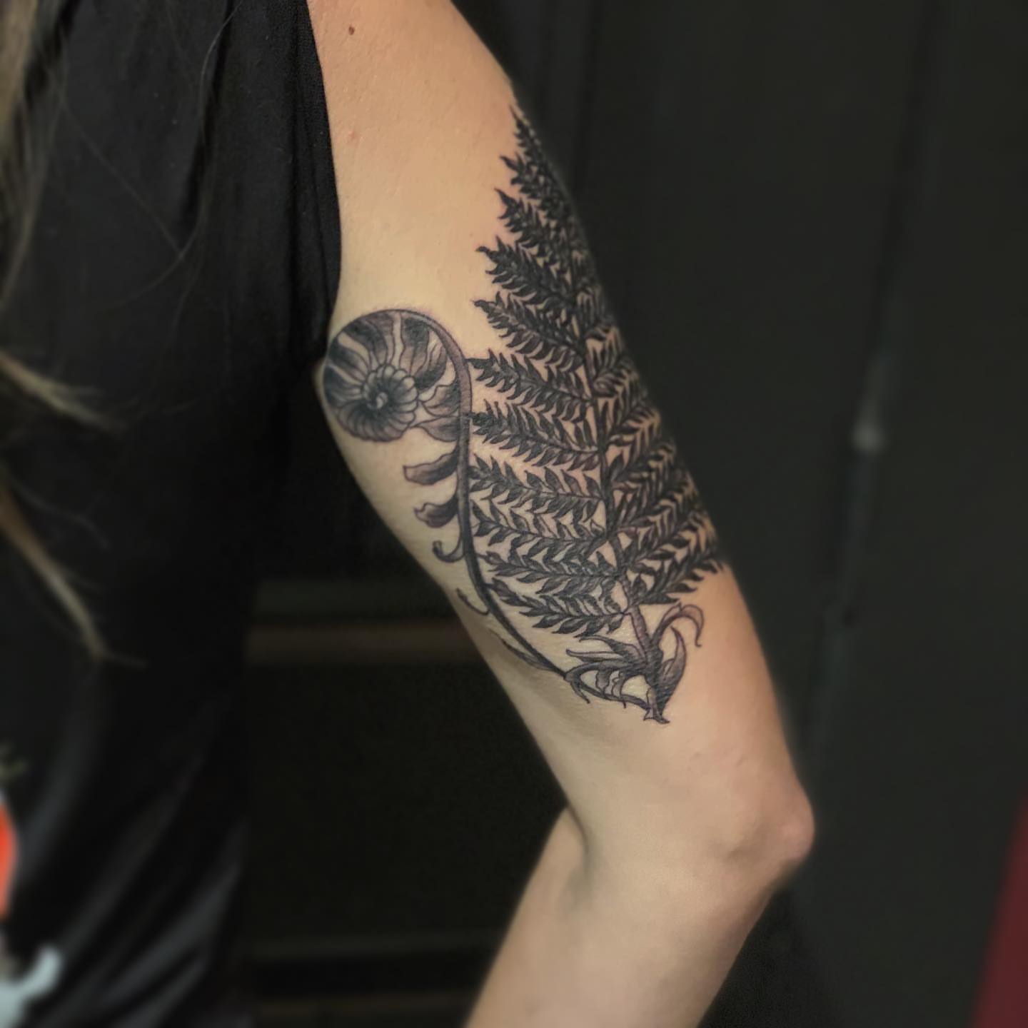 Fern and nautilus shell geometric tattoo on the forearm by 𝓚𝓪𝓼𝓼𝓪𝓷𝓭𝓻𝓪 𝓜𝓬𝓒𝓪𝓵𝓵, Eugene, Oregon