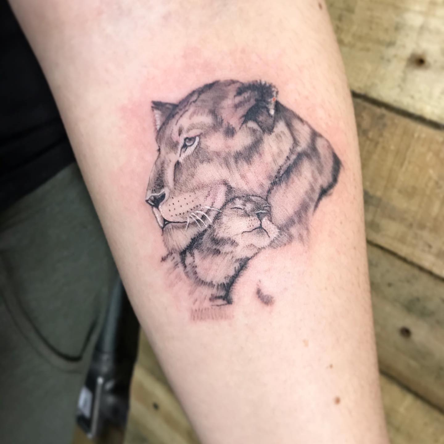 Lion realism tattoo on the forearm by PrimaTa’ttoo_021