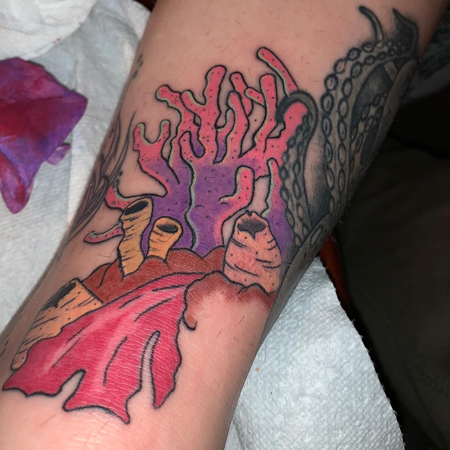 Coral and sea creatures dotwork tattoo on the forearm by Dre Inks