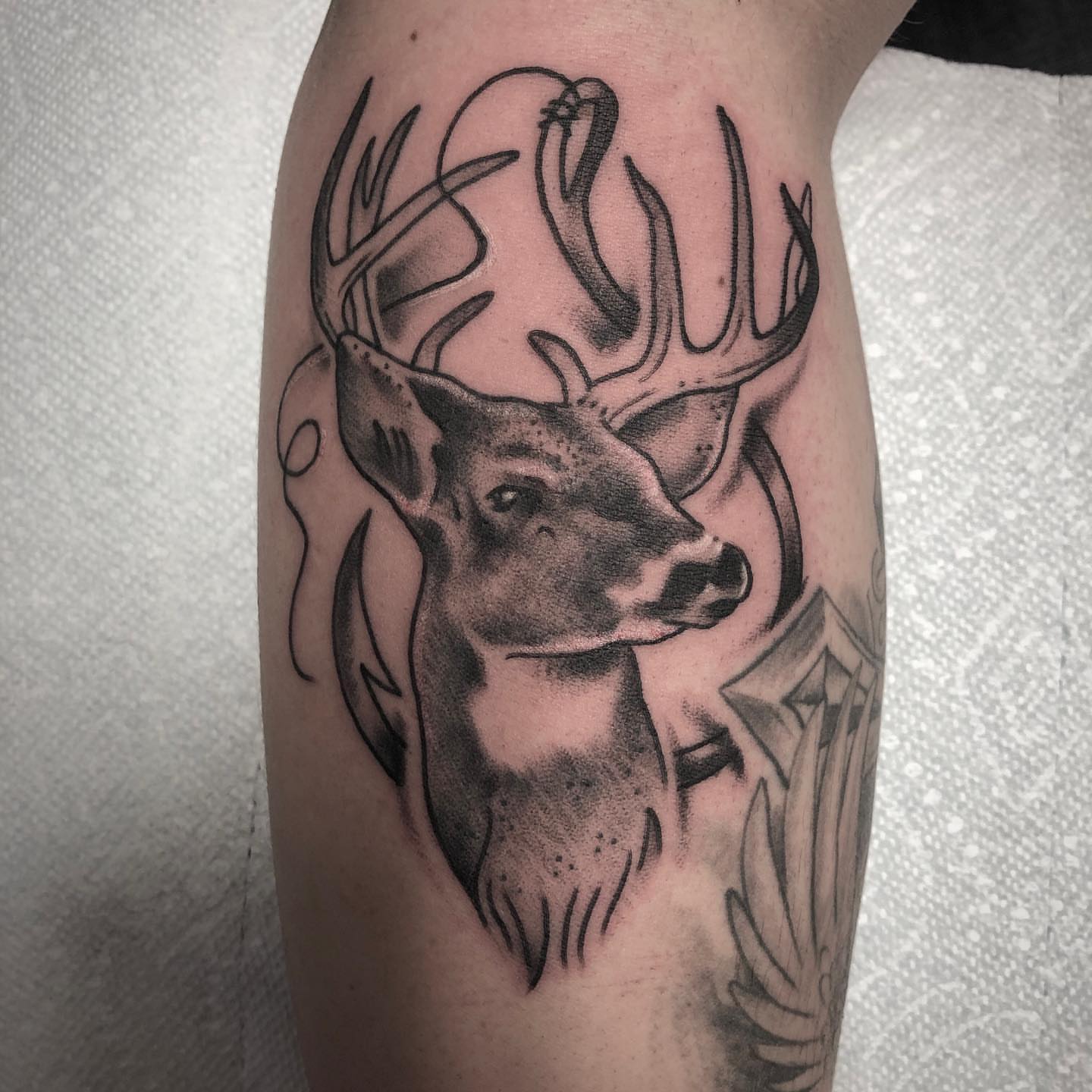 Deer head black and grey tattoo on the forearm by Strange Brew Tattoo