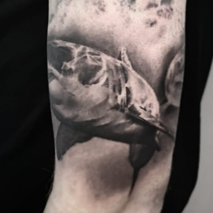 Shark realism tattoo on the forearm by Lindsay