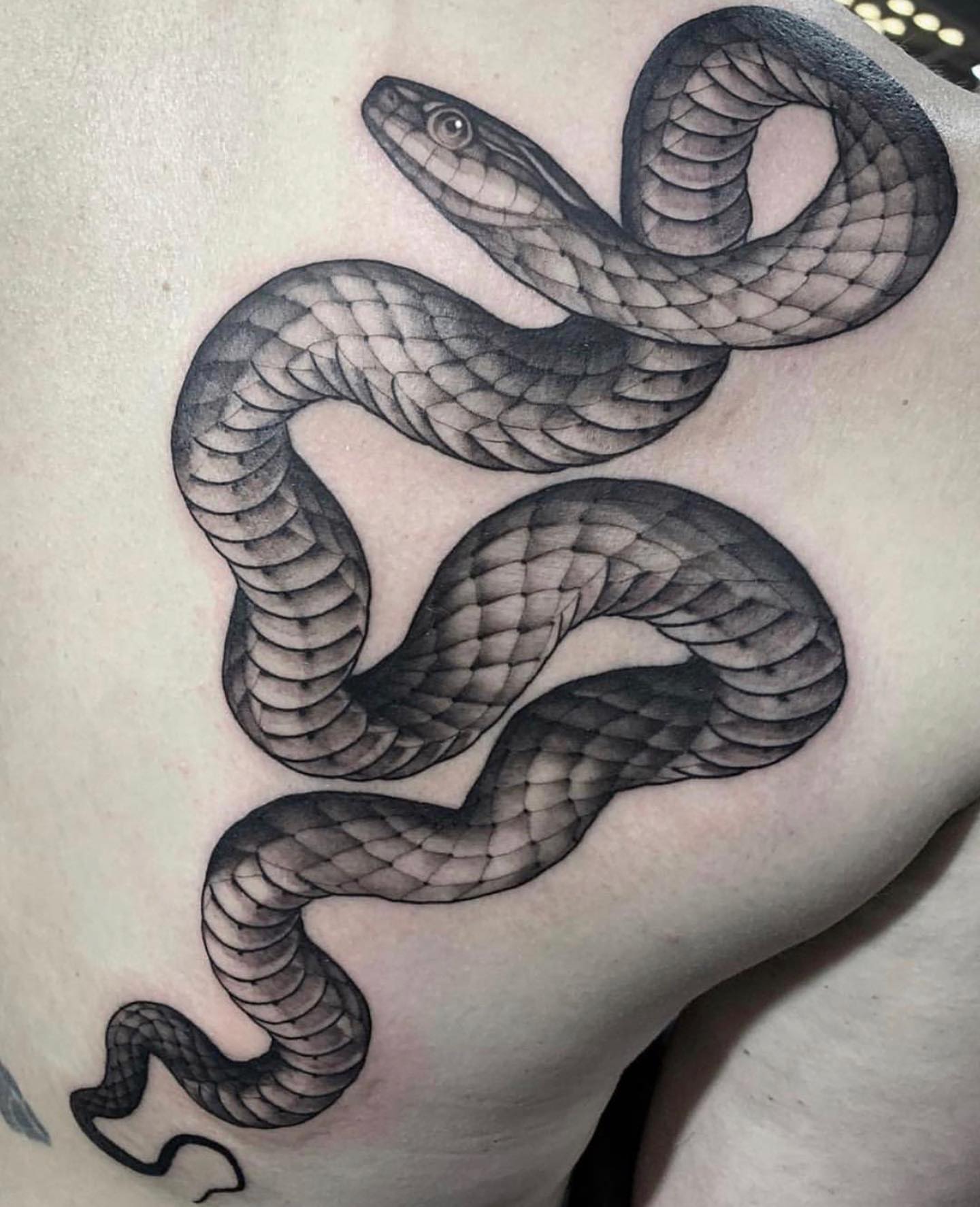 Tattoo by @squirestrahan — black_and_grey