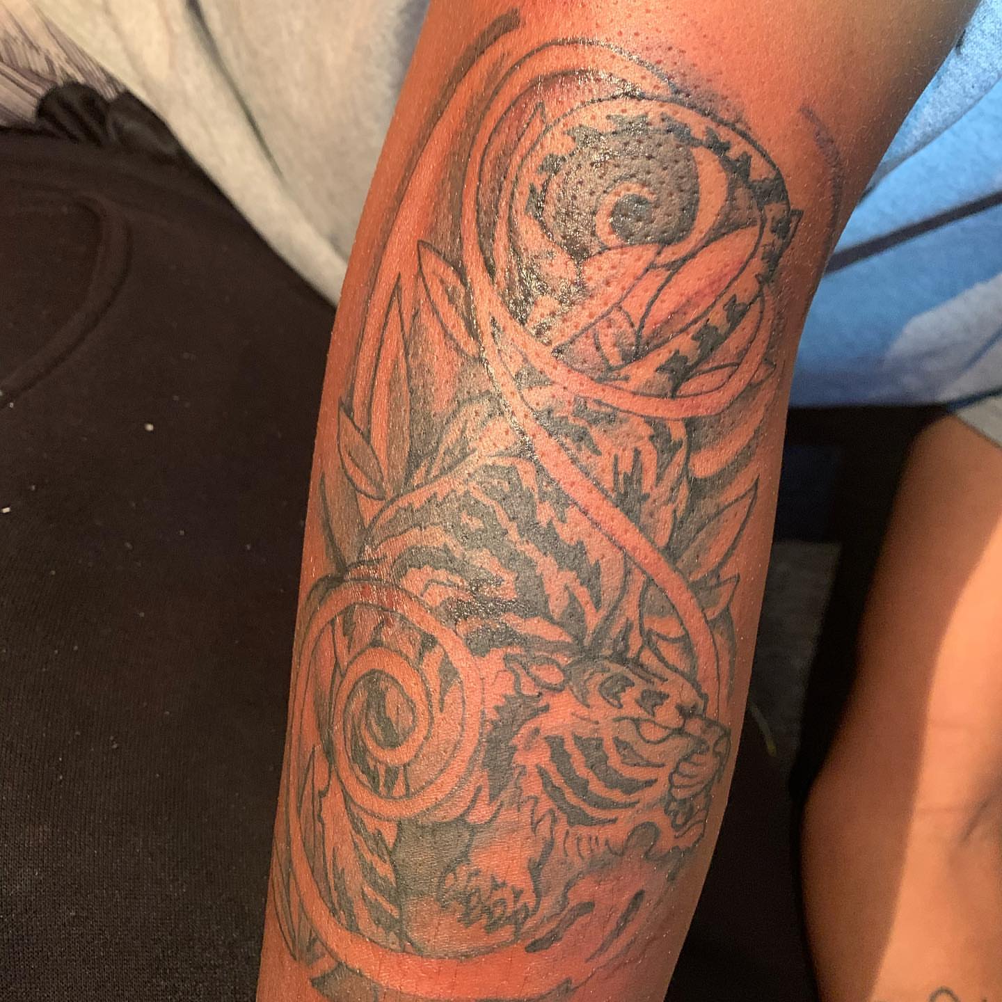 Tiger and spiral black and grey tattoo on the forearm by Deangelo Inkcrazy Dukes