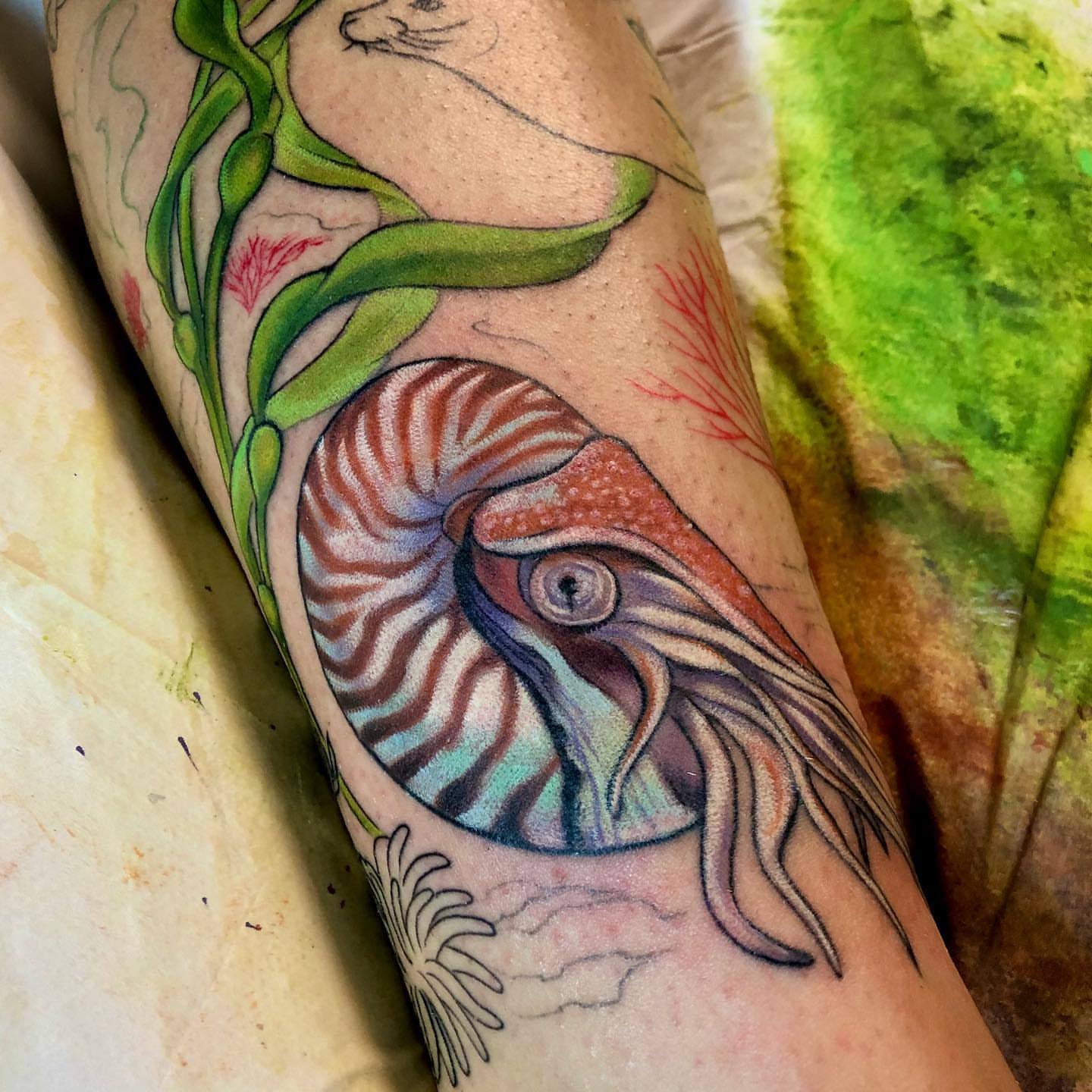 Nautilus shell realism tattoo on the forearm by Chelsea Youngblood, Seattle, Washington