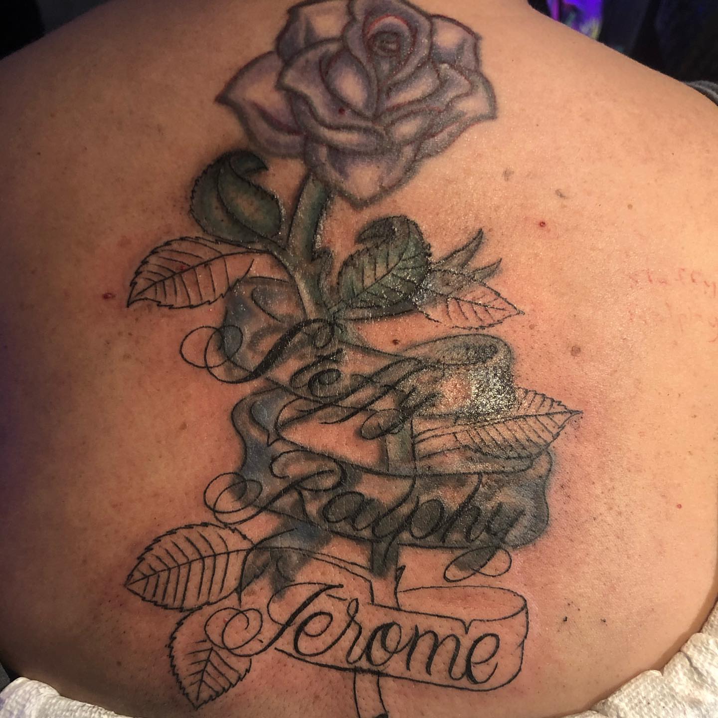Rose and script black and grey tattoo on the back by Junior Trevino