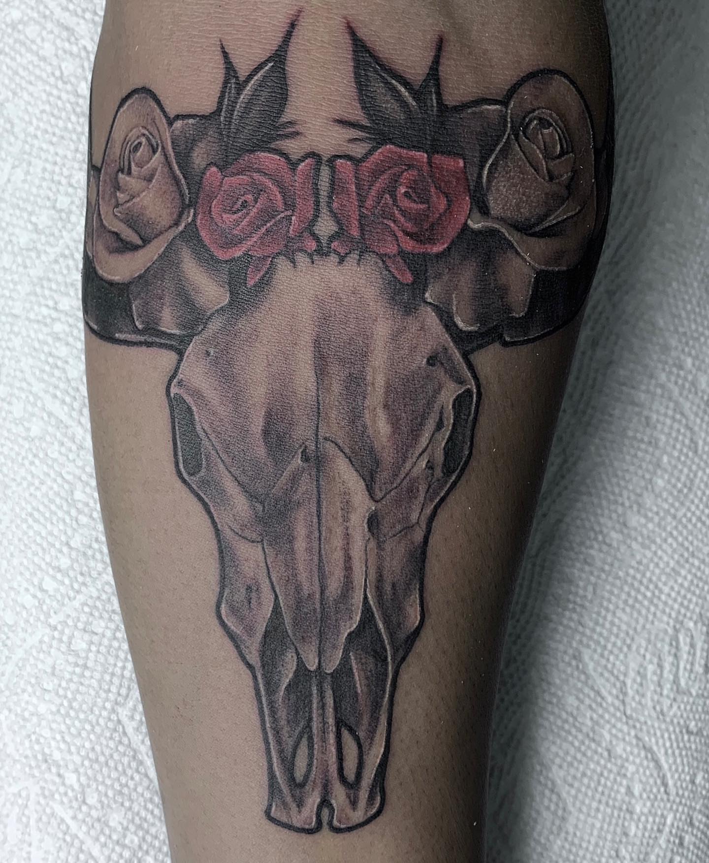 Cow skull with roses black and grey tattoo on the forearm by The Tattoo Saint- DMV Tattoo Artist, Hyattsville, Maryland