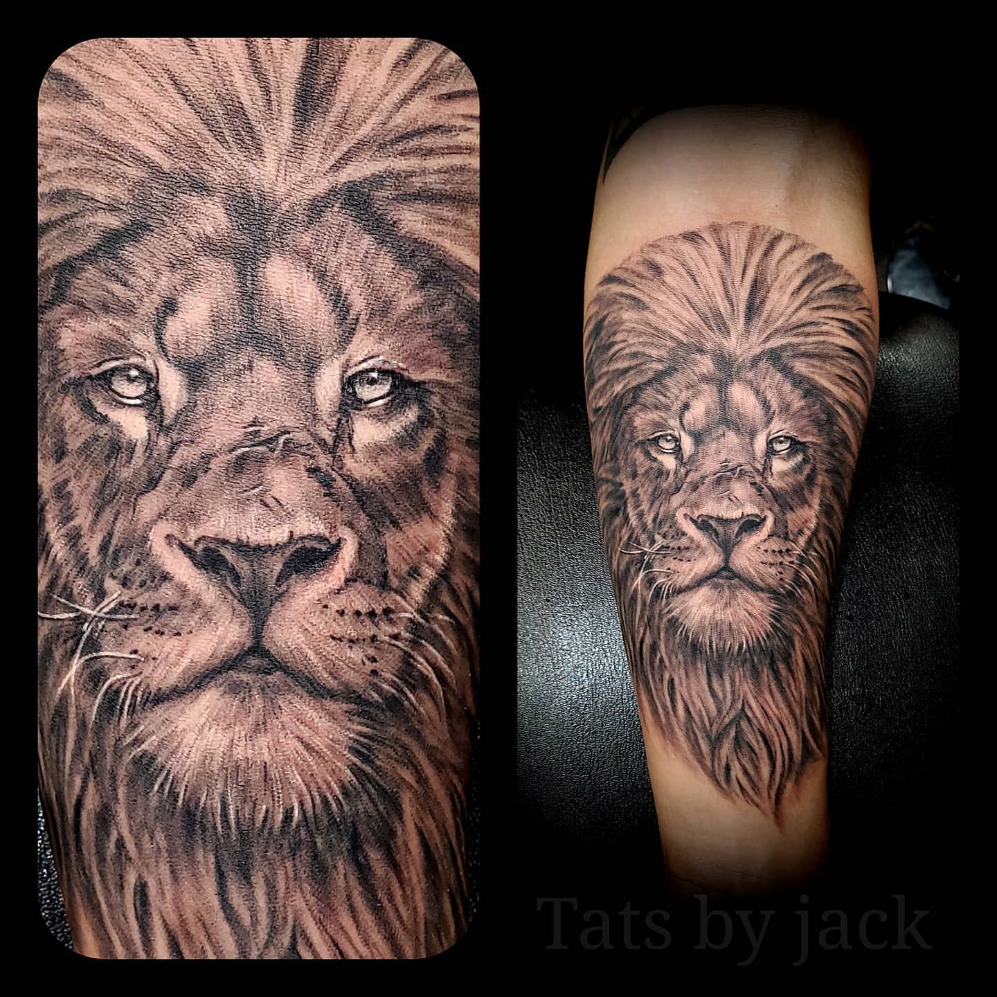Lion realism tattoo on the forearm by Jack Daniel Knowlden