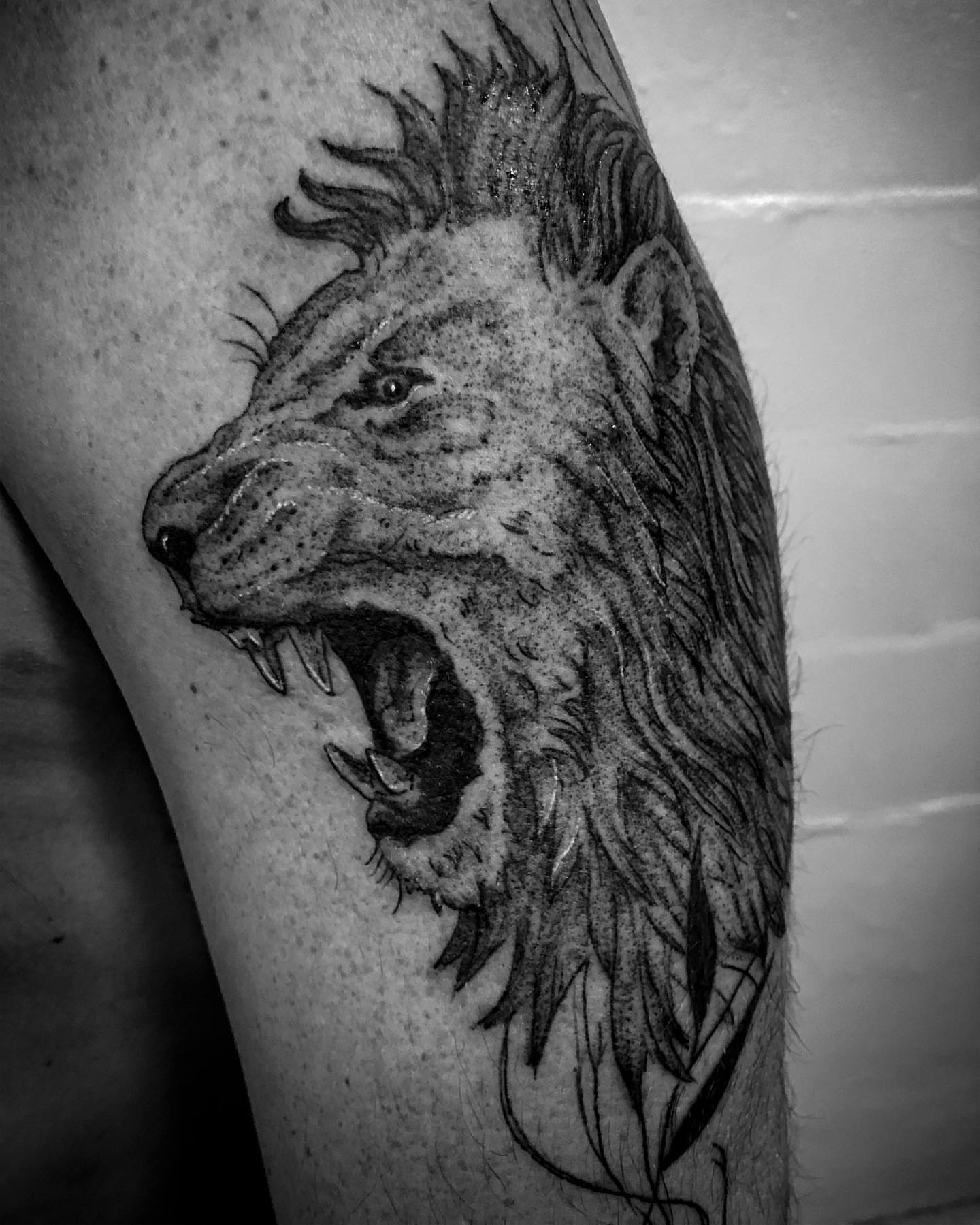 Roaring lion dotwork tattoo on the thigh by Thylacine Tattoo & Art, Los Angeles, California
