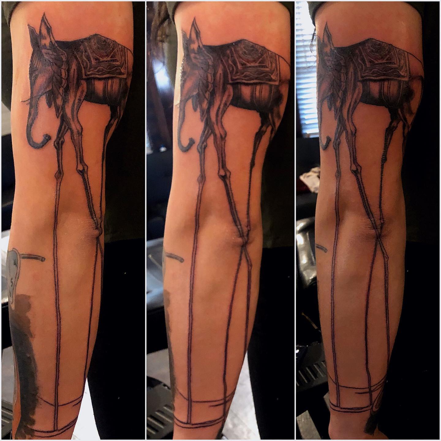 Horse black and grey tattoo on the forearm by Patrick Delvar