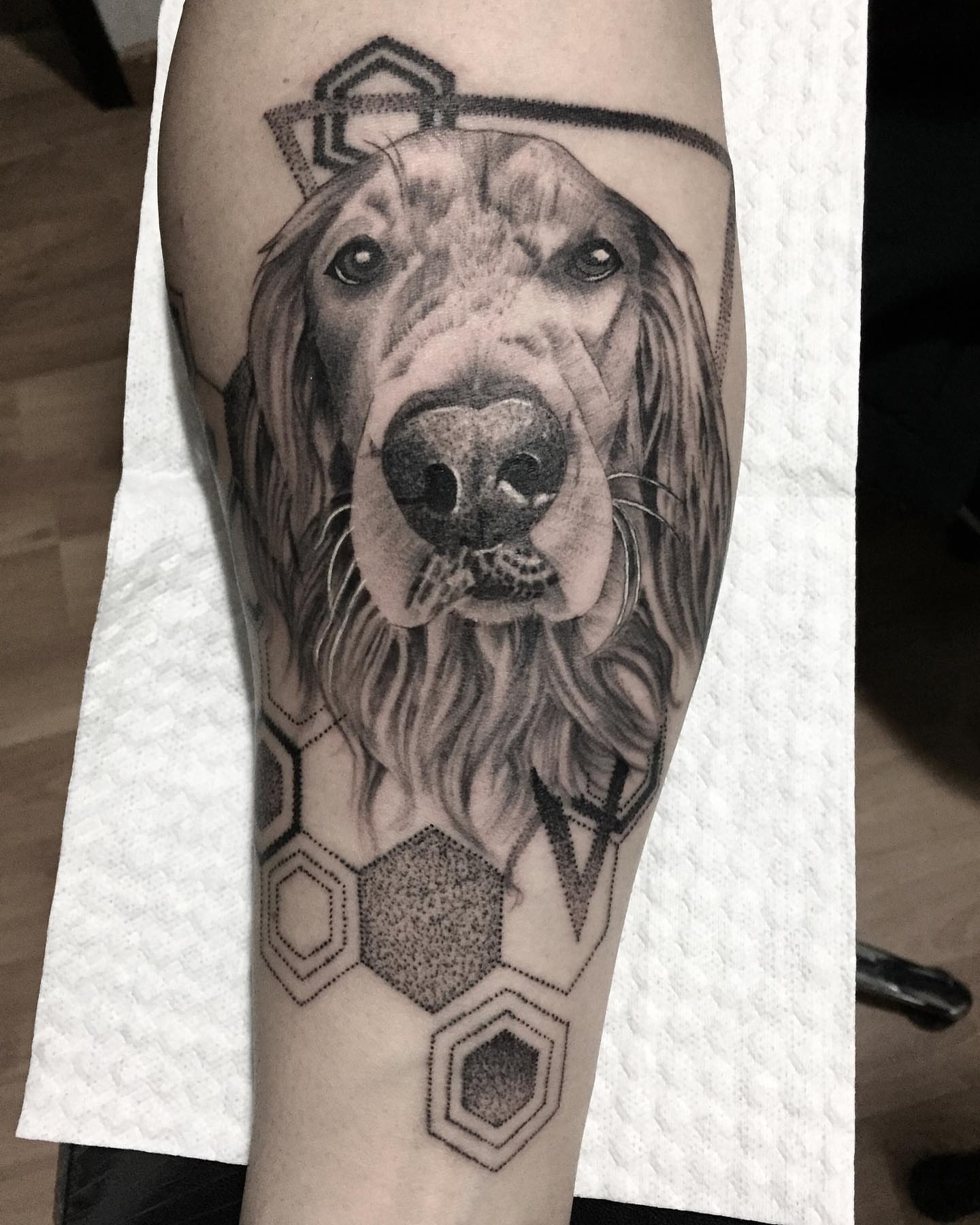 Dog dotwork tattoo on the forearm by Dayana✨