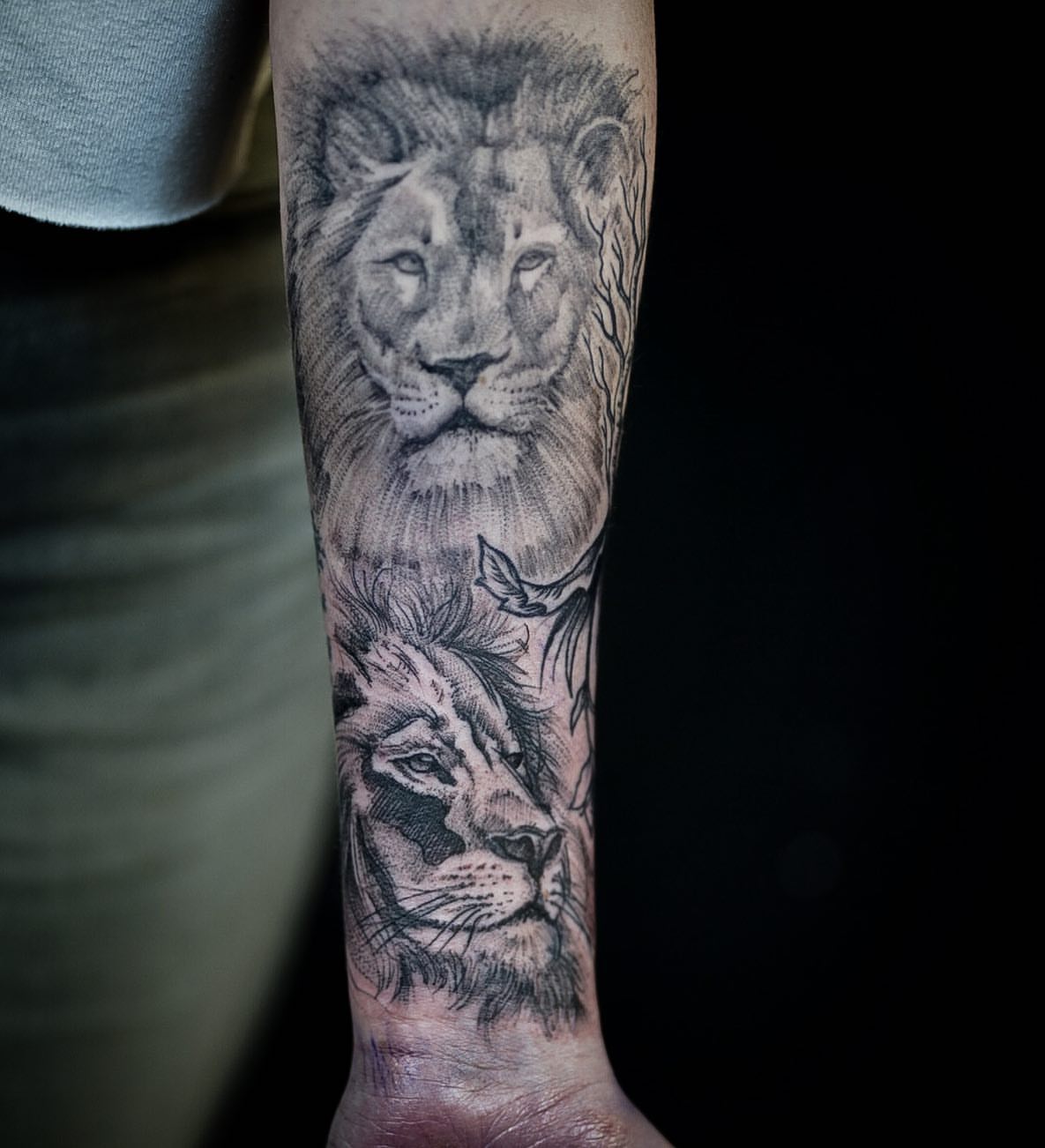 Lion realism tattoo on the forearm by Jeff Kees