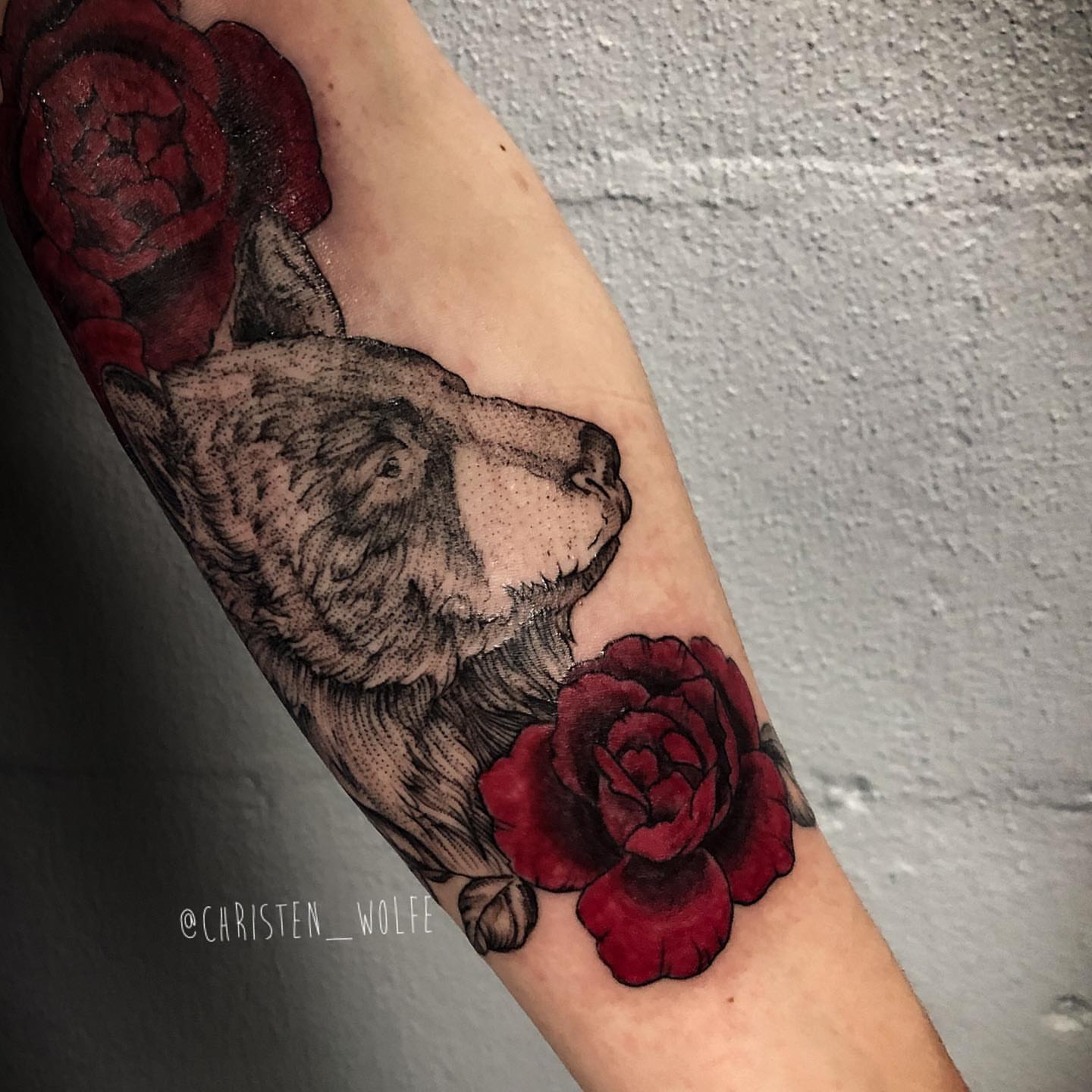 Wolf and roses realism tattoo on the forearm by Thylacine Tattoo & Art, Los Angeles, California