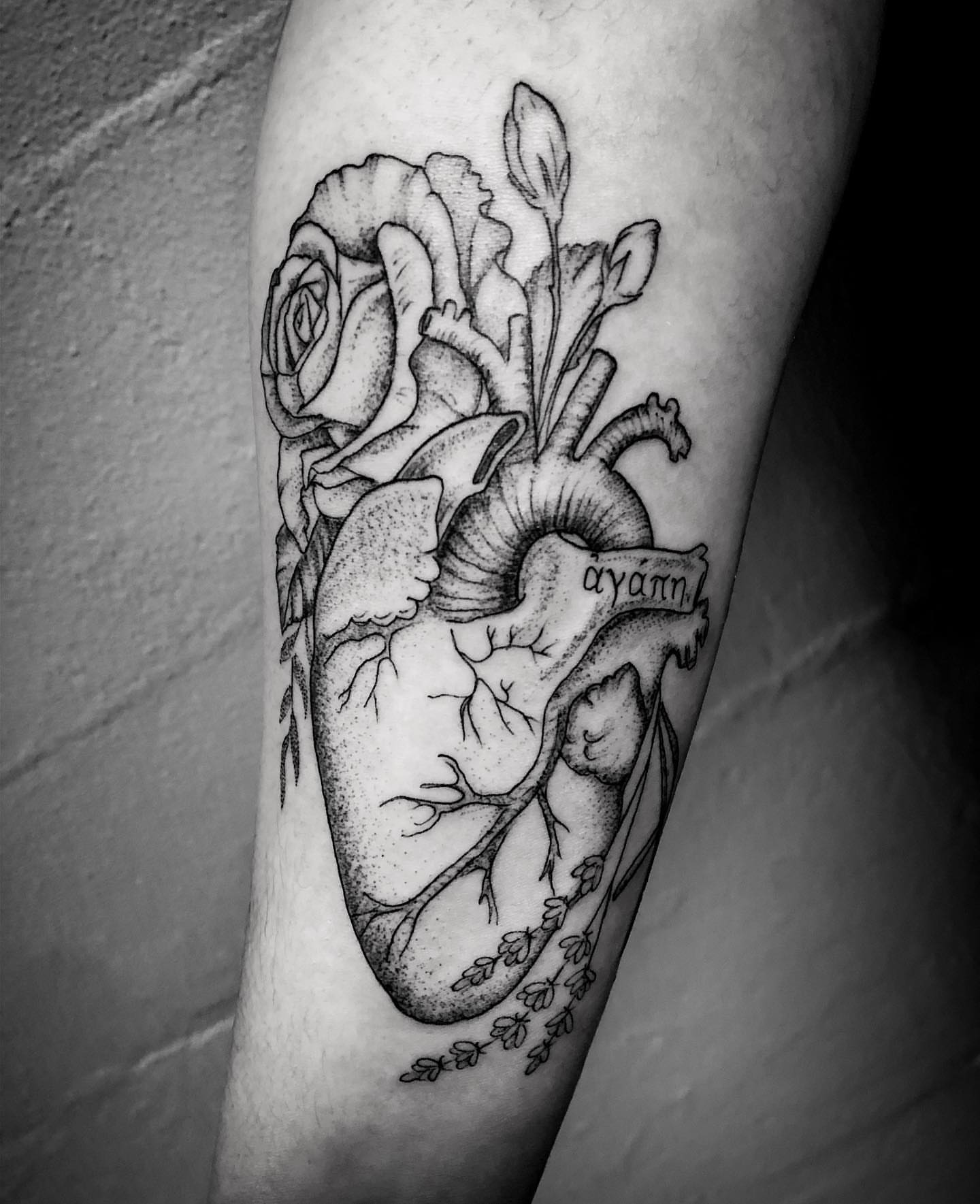 Anatomical heart with roses dotwork tattoo on the forearm by Thylacine Tattoo & Art, Los Angeles, California