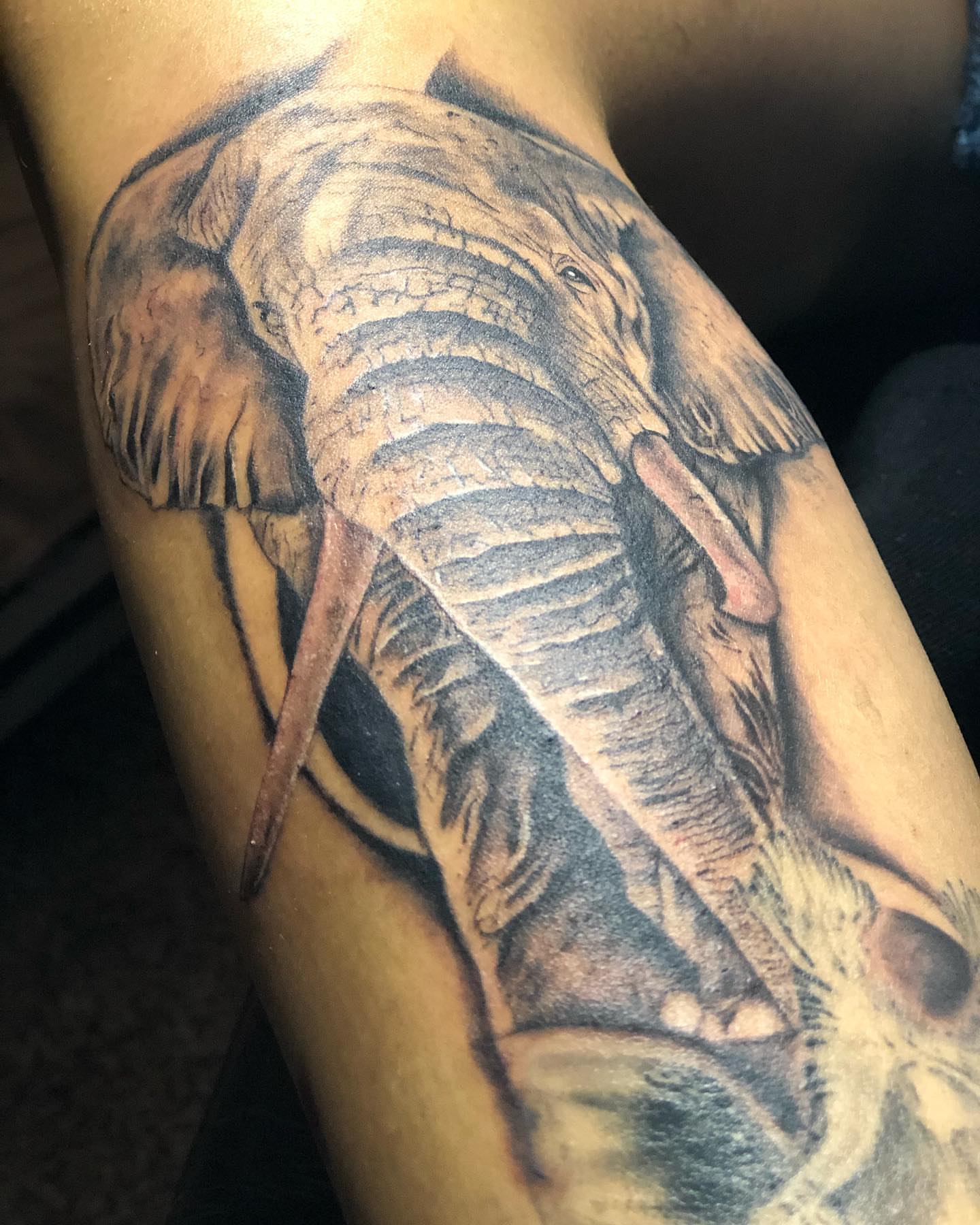 Tattoo by @doriink — realism