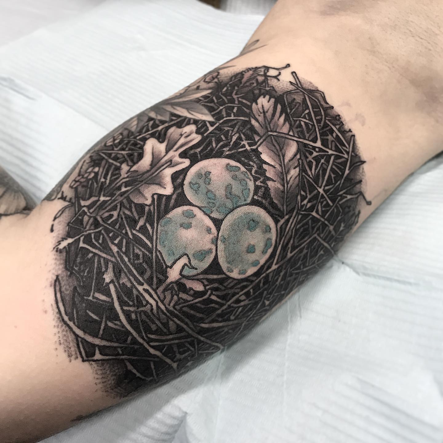 Nest with eggs realism tattoo on the forearm by Steven Campbell, Kansas City, Missouri