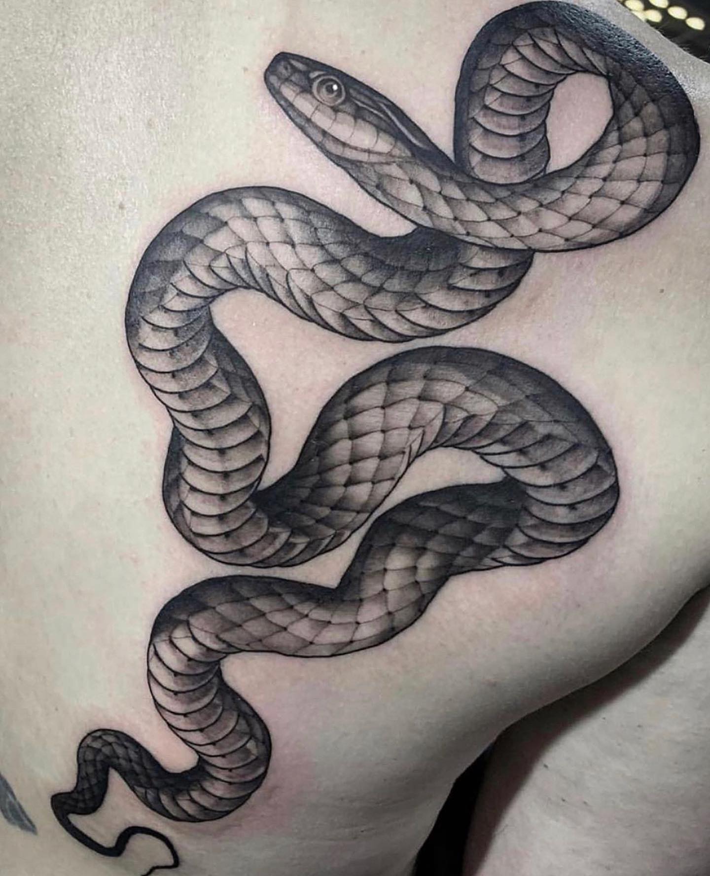 Tattoo by @squirestrahan — black_and_grey, realism