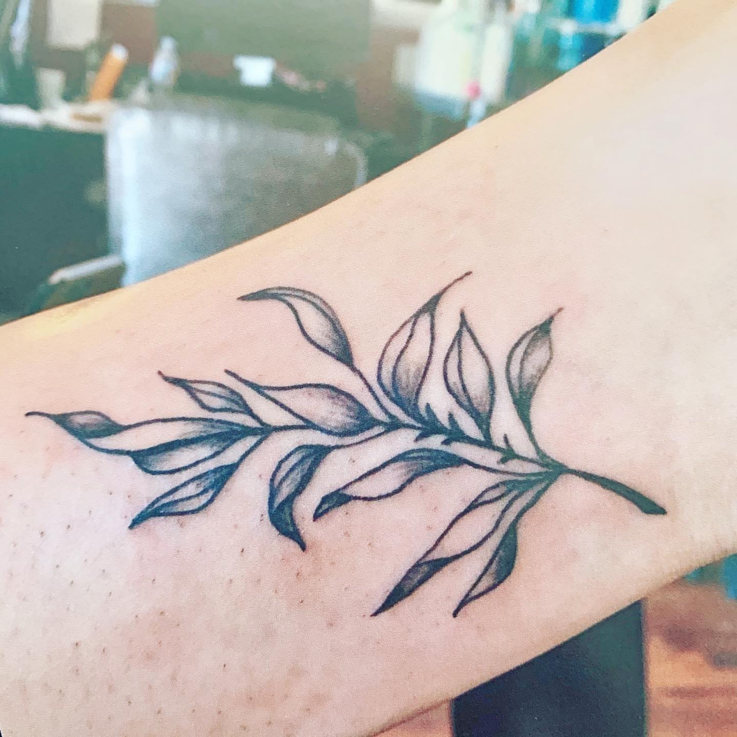 Branch with leaves black and grey tattoo on the forearm by Rhonda Faber Green