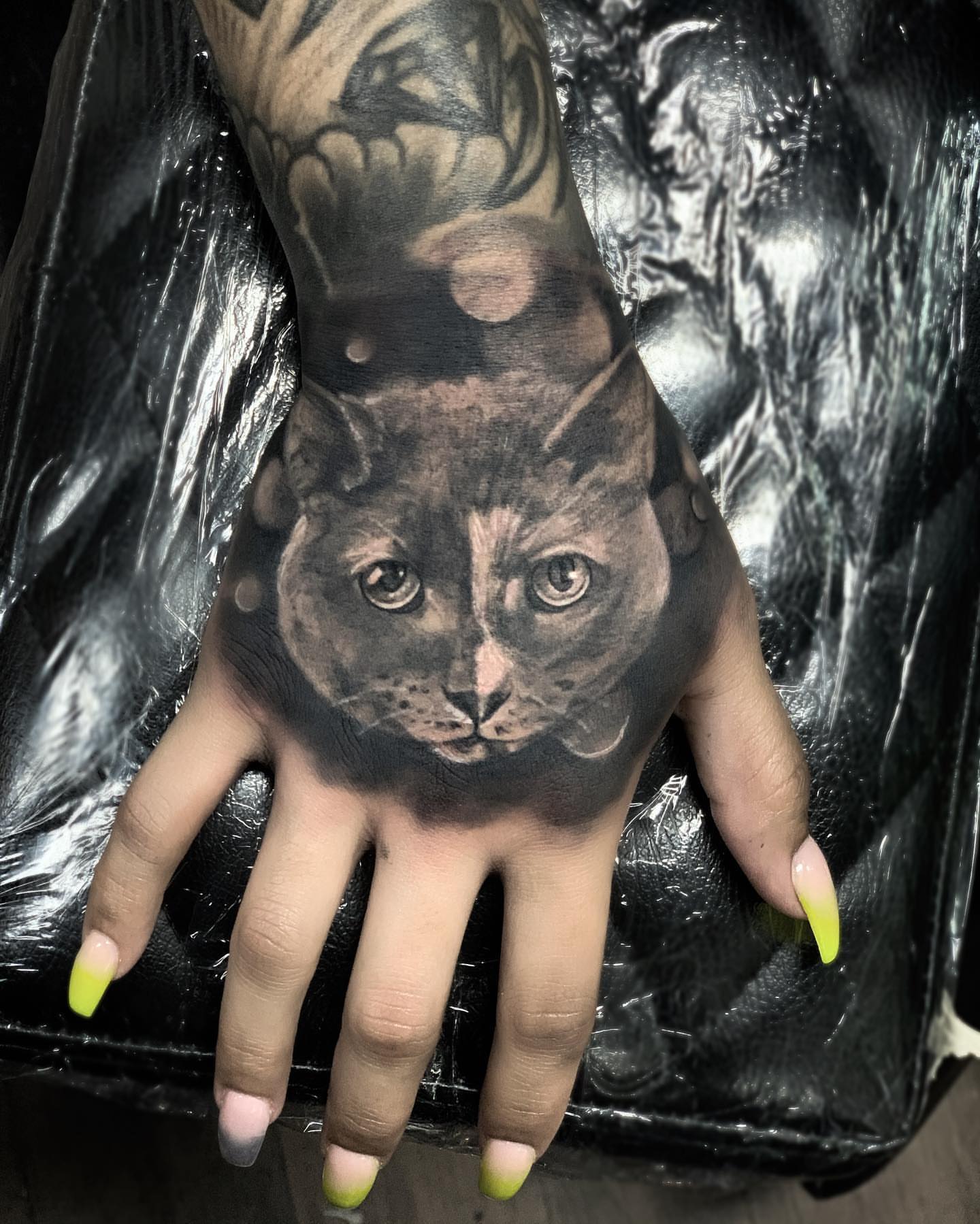Cat realism tattoo on the hand by Nance⚡