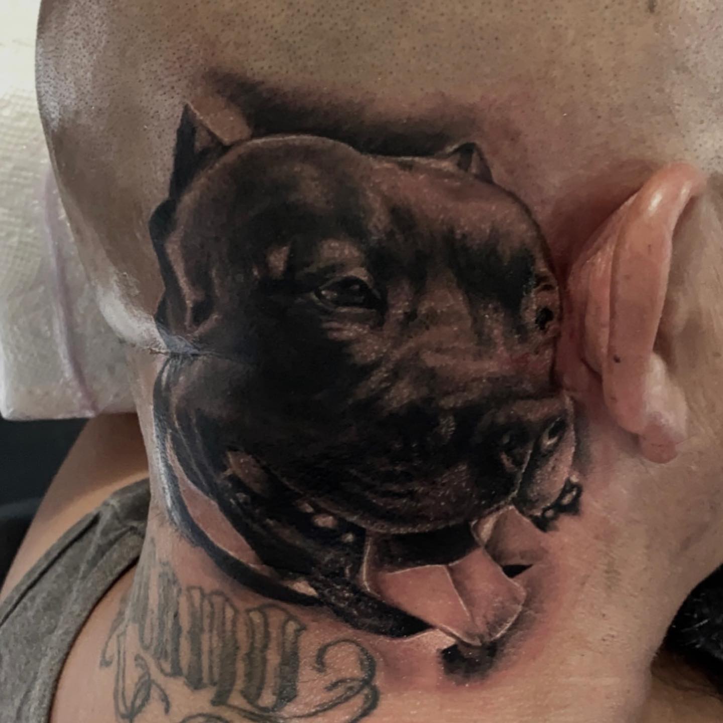 Dog realism tattoo on the neck by Jayjay🦅