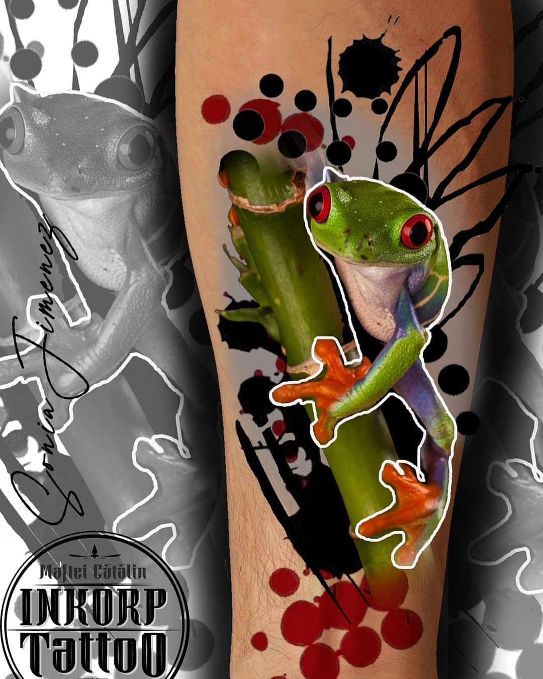 Red-eyed tree frog dotwork tattoo on the forearm by Sonia