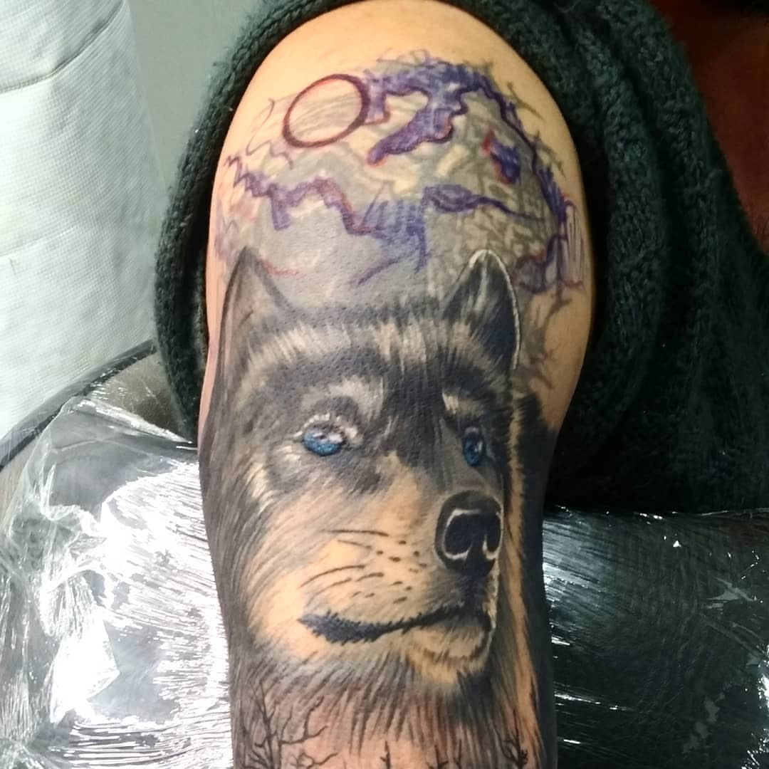 Wolf realism tattoo on the upper arm by Marquin π§π·