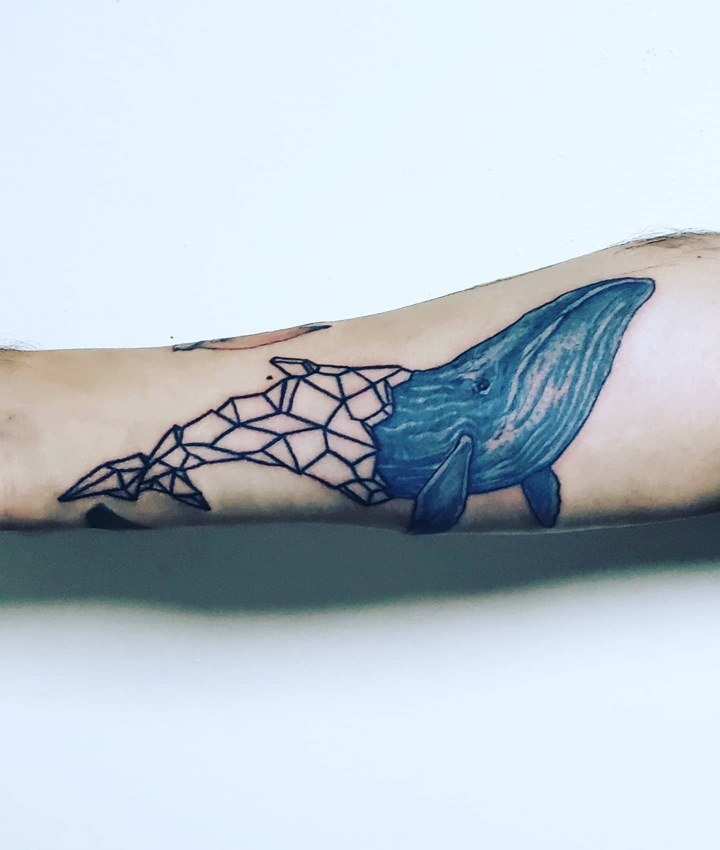 Whale geometric tattoo on the forearm by Eddy