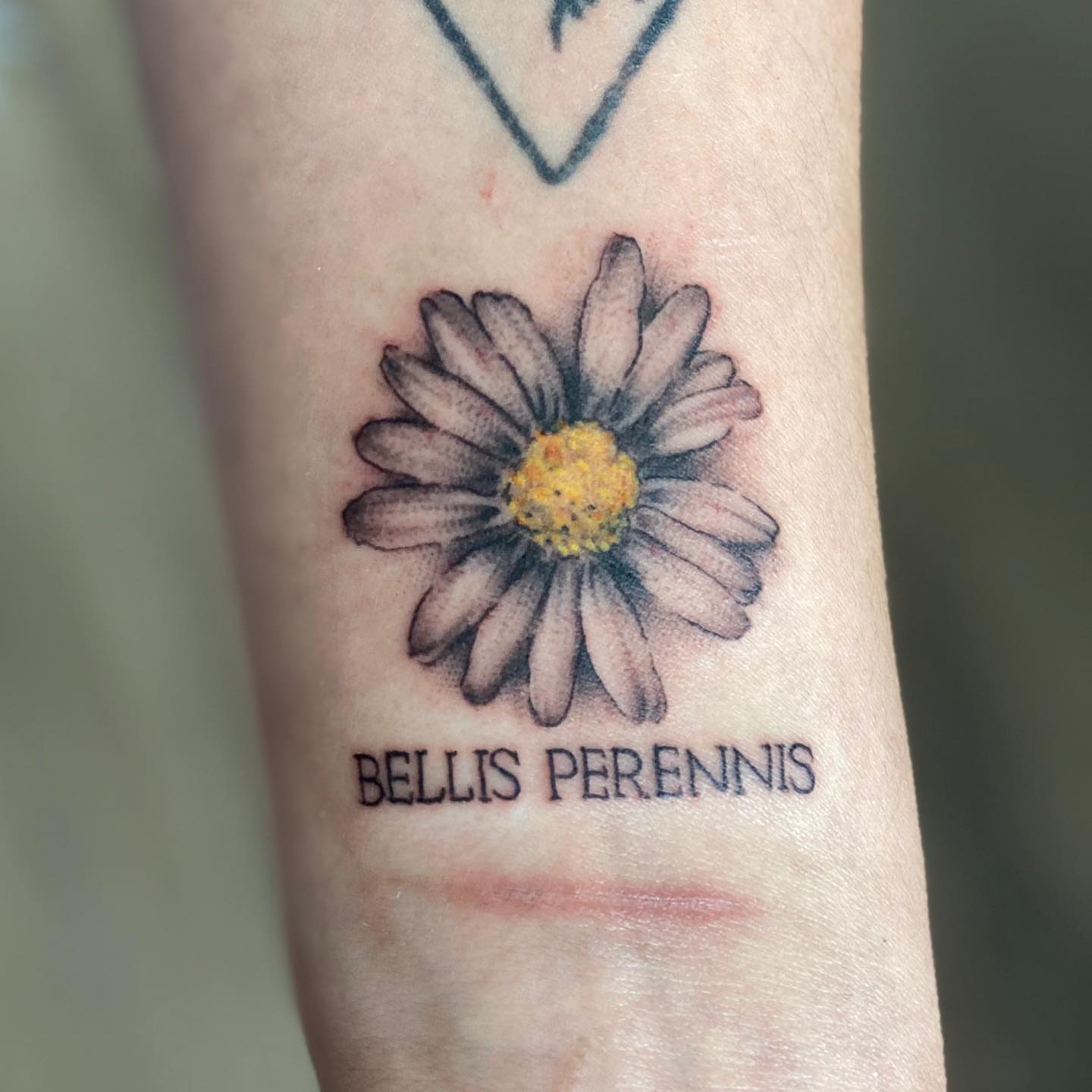 Daisy realism tattoo on the forearm by 𝕤𝕒𝕣𝕒𝕙 𝕞𝕠𝕣𝕒𝕟📌, Dayton, Ohio
