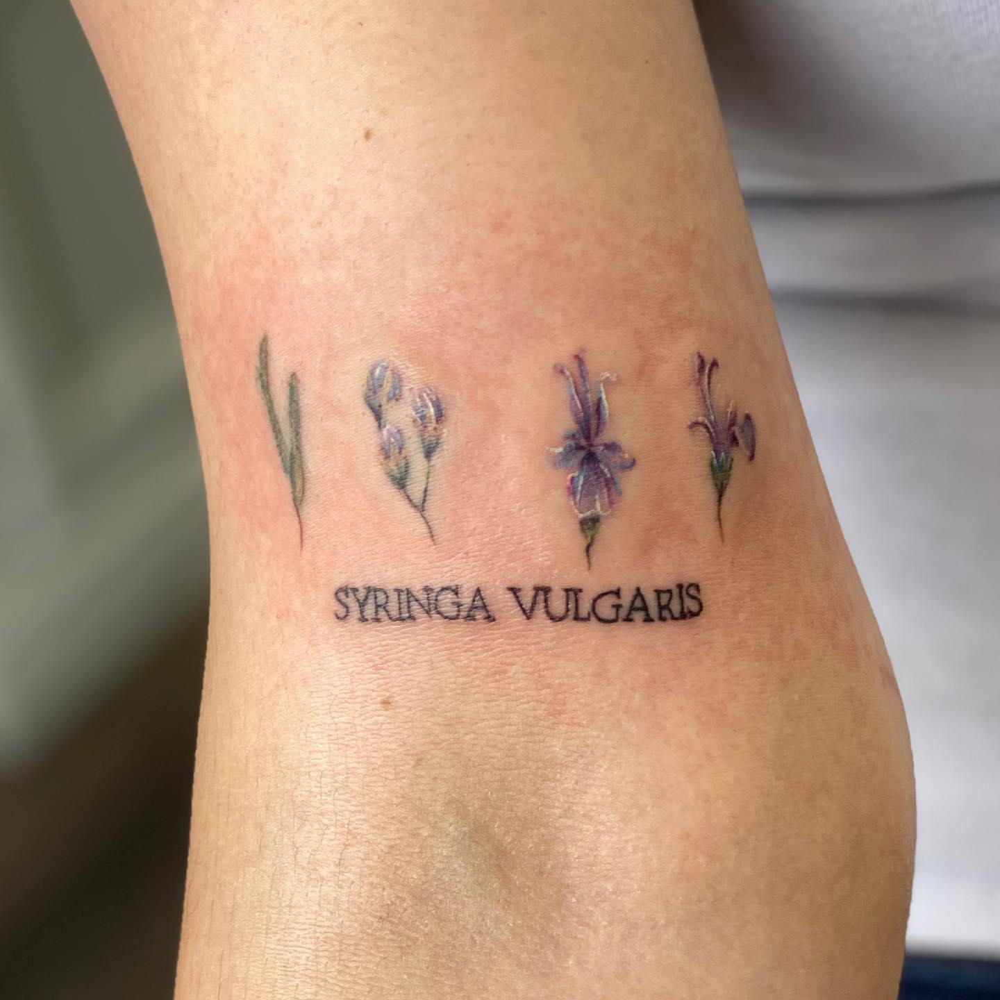 Lavender realism tattoo on the forearm by 𝕤𝕒𝕣𝕒𝕙 𝕞𝕠𝕣𝕒𝕟📌, Dayton, Ohio