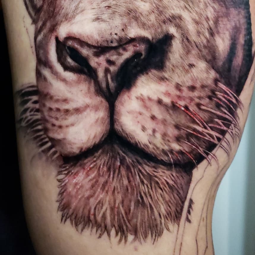 Lion realism tattoo on the forearm by @doctorze