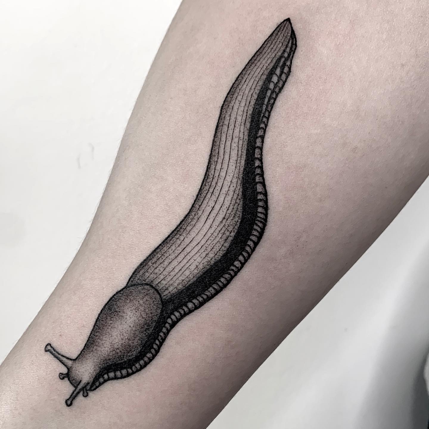 Slug dotwork tattoo on the forearm by Chelsea Darling