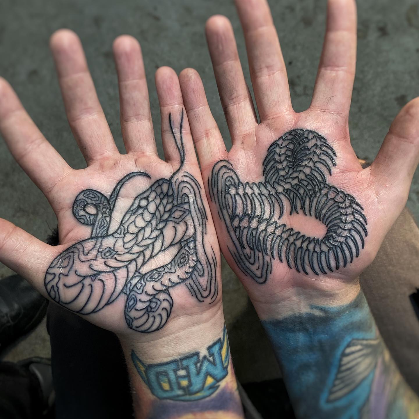 Serpent black and grey tattoo on the hand by Mark Walker