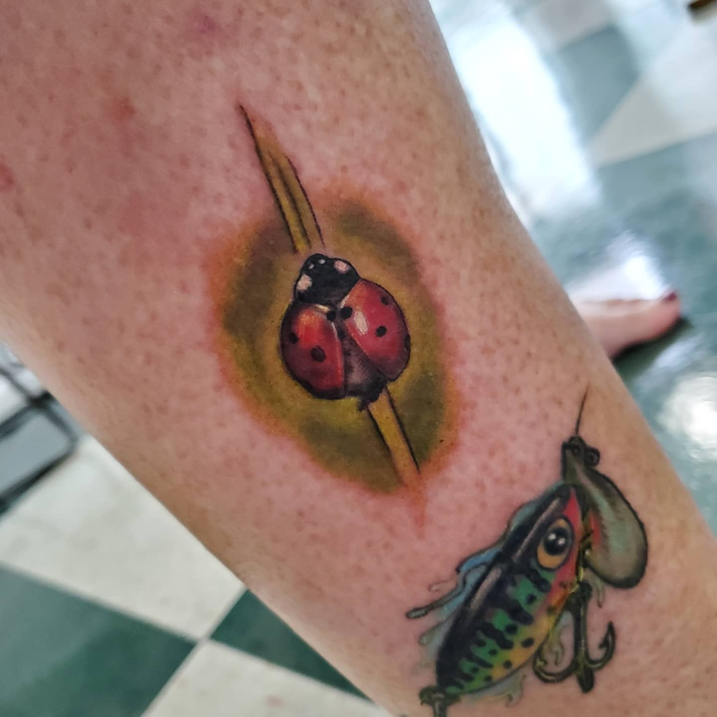 Ladybug and grasshopper realism tattoo on the forearm by David Nash, Evansville, Indiana