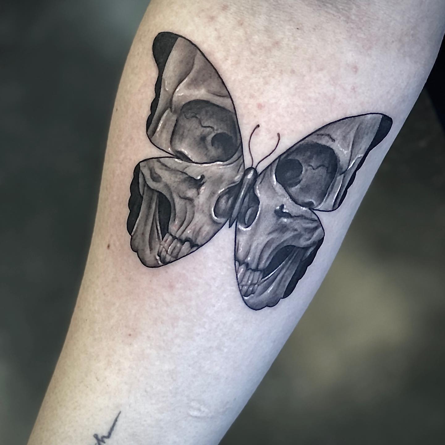 Skull butterfly realism tattoo on the forearm by Aaron Watson