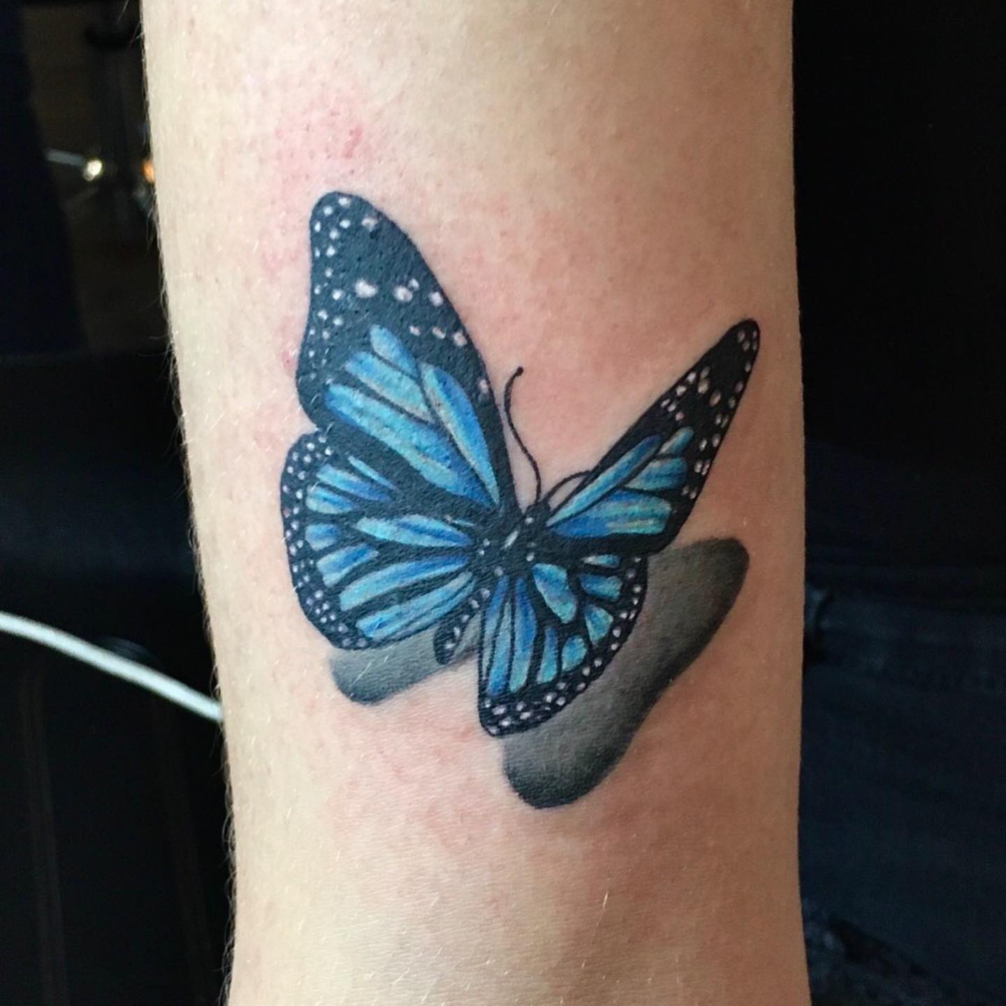Blue butterfly realism tattoo on the forearm by Ray Marie